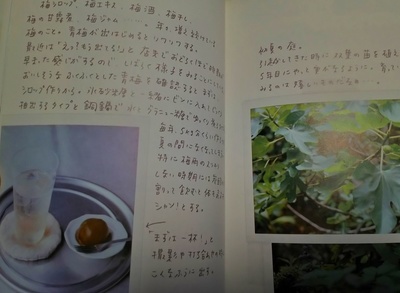 DSC_2367-01.jpeg