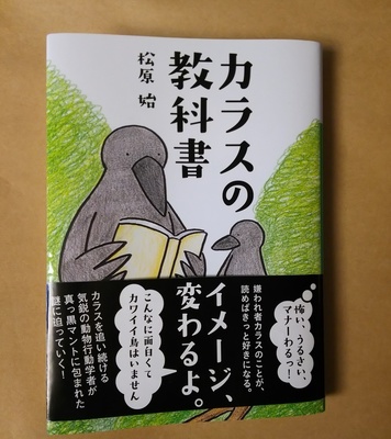 DSC_2381-01.jpeg