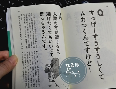 DSC_2384-01-01.jpeg